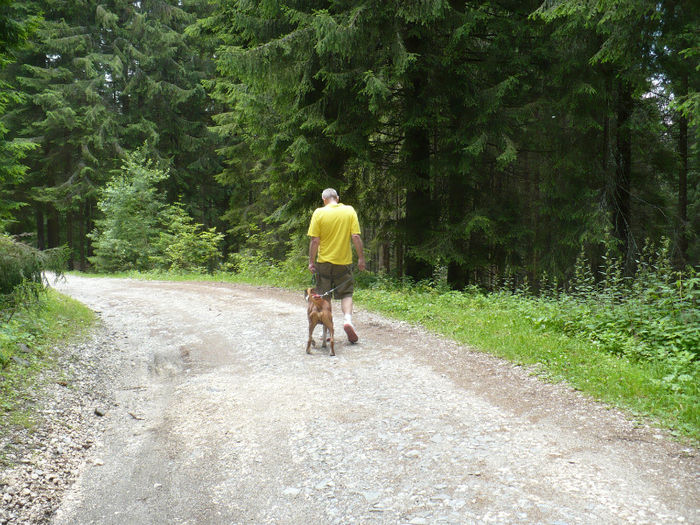 P1460231 - Predeal iulie 2013