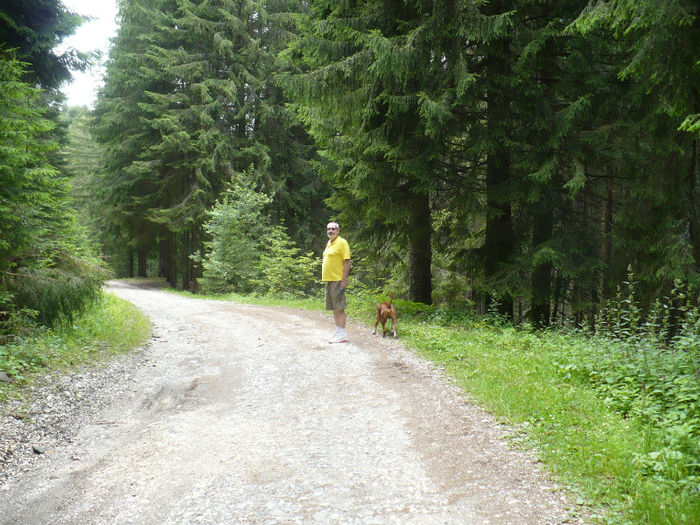 P1460232 - Predeal iulie 2013