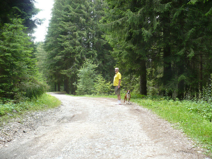 P1460233 - Predeal iulie 2013