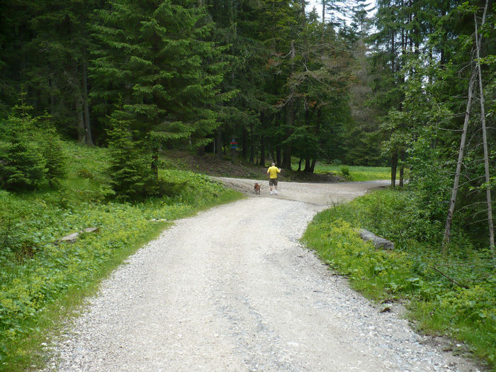 P1460246 - Predeal iulie 2013