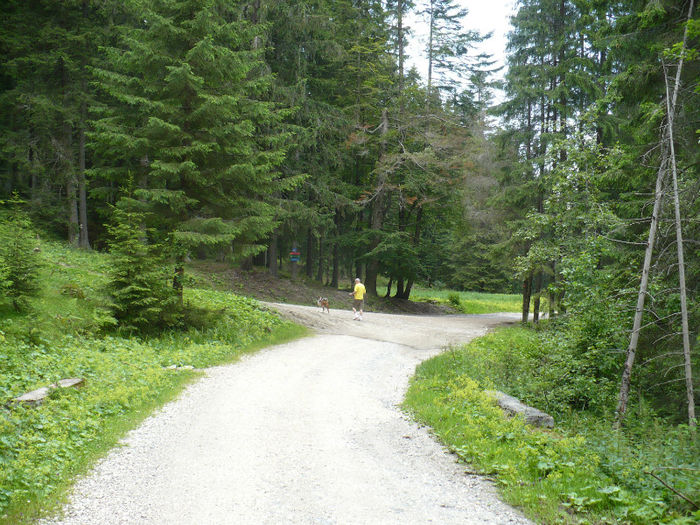 P1460247 - Predeal iulie 2013