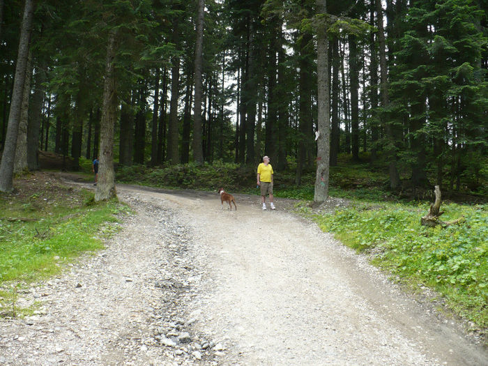 P1460253 - Predeal iulie 2013