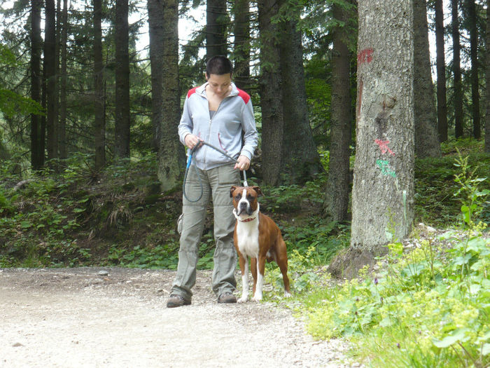 P1460259 - Predeal iulie 2013