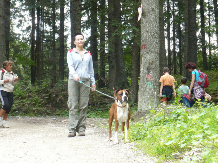 P1460260 - Predeal iulie 2013