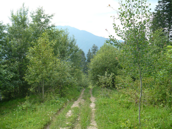 P1460279 - Predeal iulie 2013