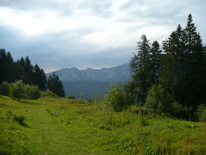 P1460299 - Predeal iulie 2013