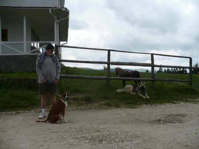 La cabana Susai - Predeal iulie 2013