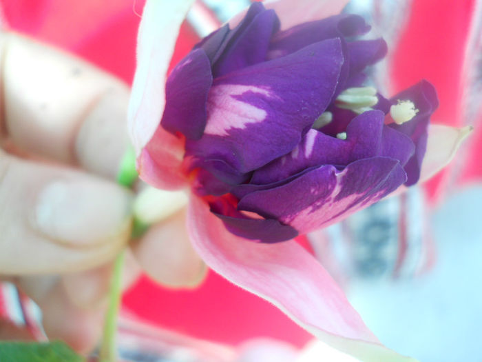 DSCN4623