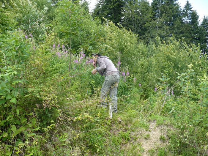P1460326 - Predeal iulie 2013