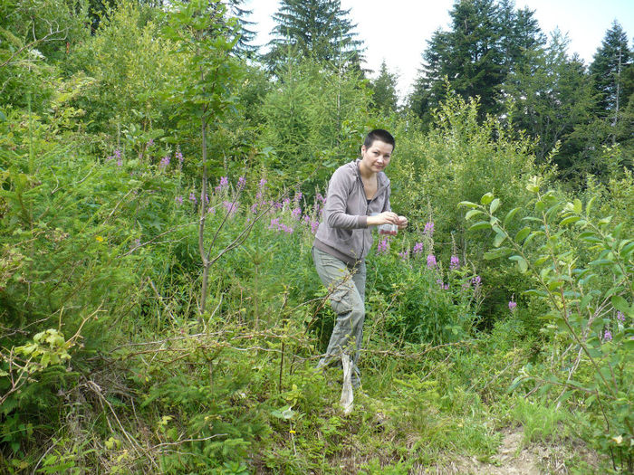 P1460329 - Predeal iulie 2013