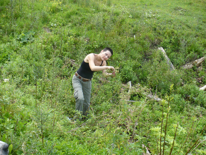 P1460337 - Predeal iulie 2013