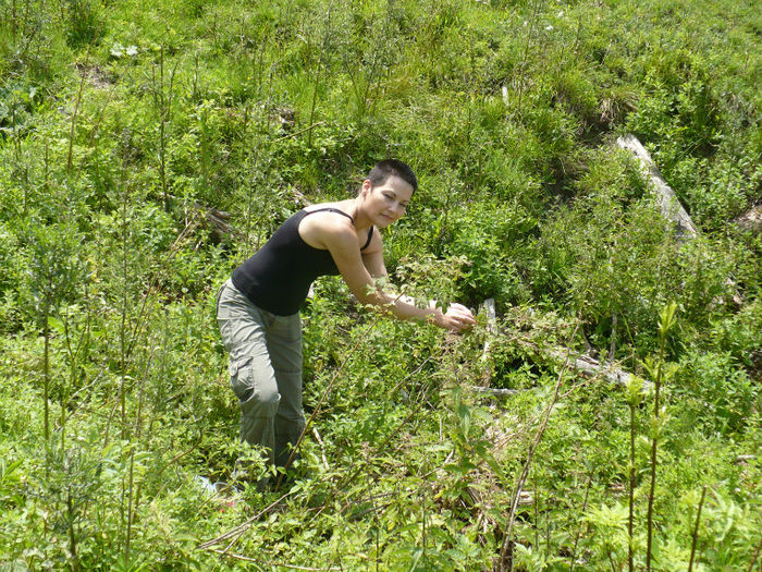 soare in poiana cu zmeura - Predeal iulie 2013