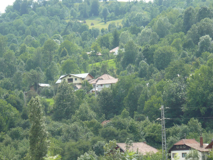 P1460417