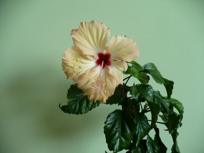 P1460443