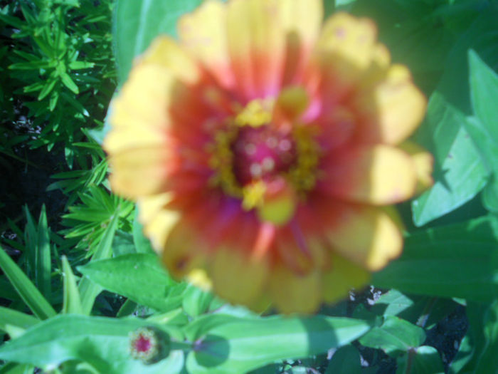 DSCN4638