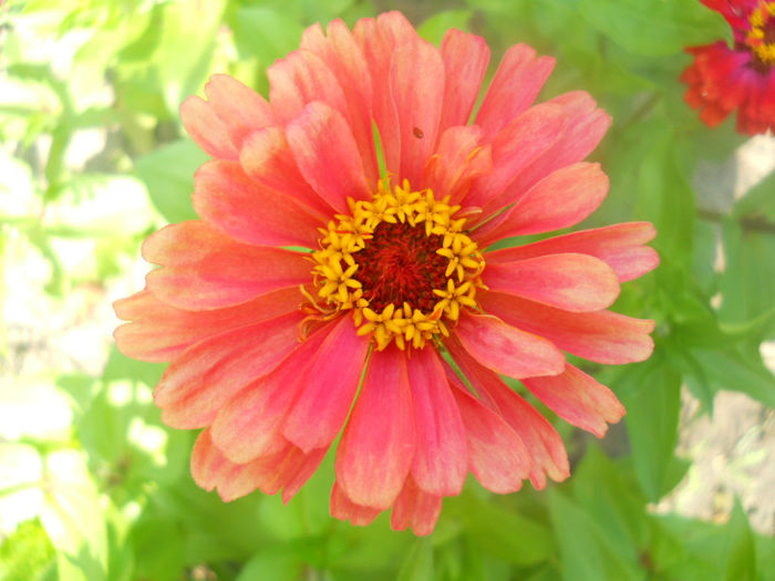 DSCN4640