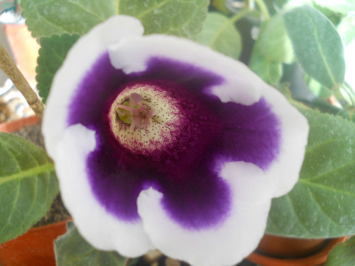 DSCN4673