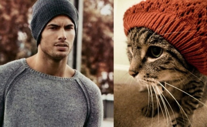 25 - Hot Guys and Cats Striking