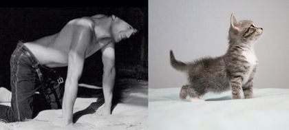 26 - Hot Guys and Cats Striking
