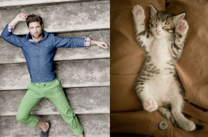 27 - Hot Guys and Cats Striking