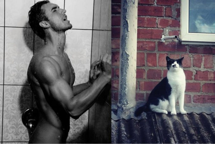 28 - Hot Guys and Cats Striking