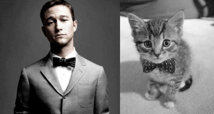 29 - Hot Guys and Cats Striking