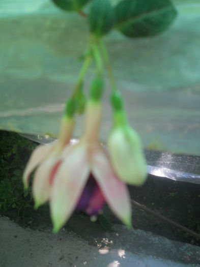 DSCN4618