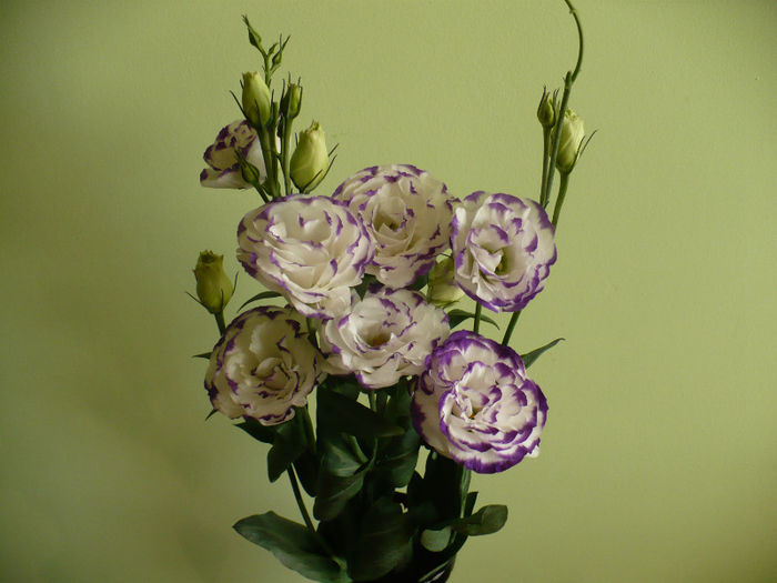 17 iulie - flori diverse 2013