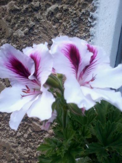 20130712_164736