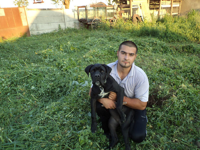 DSC02312 - 2 angel cane corso