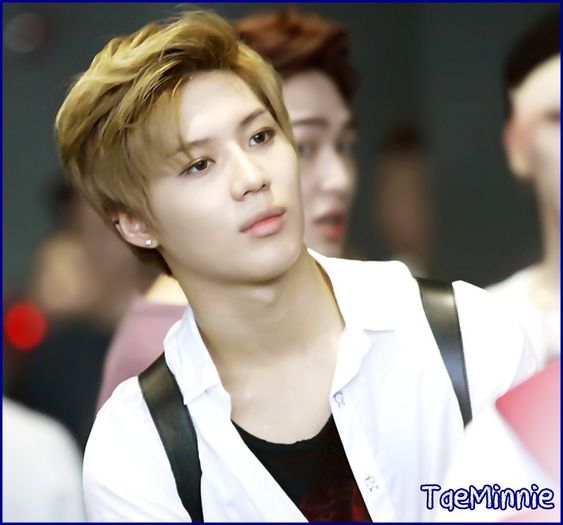 x. -.- .. Daca s`ar aplica asta si pt minee,Kai. -.- ..