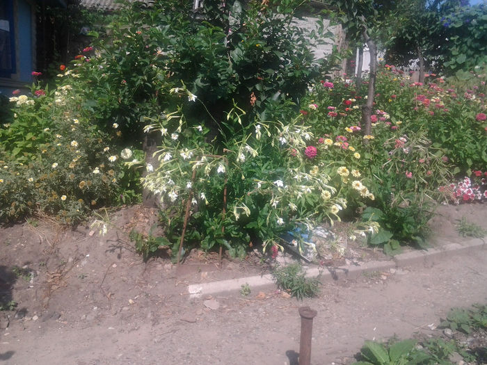 20130718_094938 - andrutei cu tot dragul