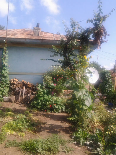 20130718_100127 - andrutei cu tot dragul