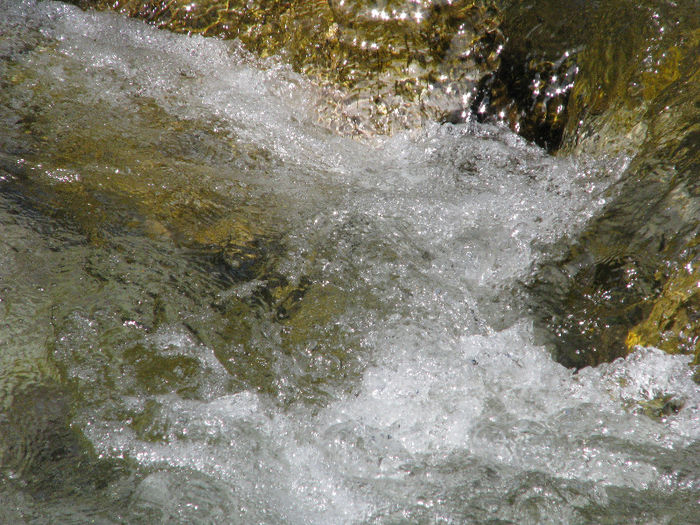 IMG_1033 - Vara-Toamna in Austria-Tirol