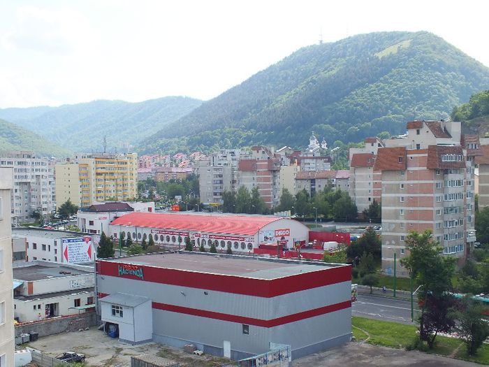 DSCF1805