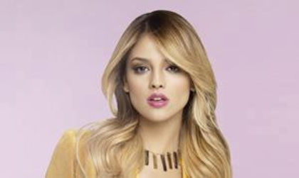 549369_343057852466444_1135468702_n