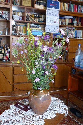 P1010077 - 005 Flori de camp in my house
