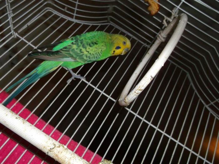 263393_217693428368004_1544103028_n