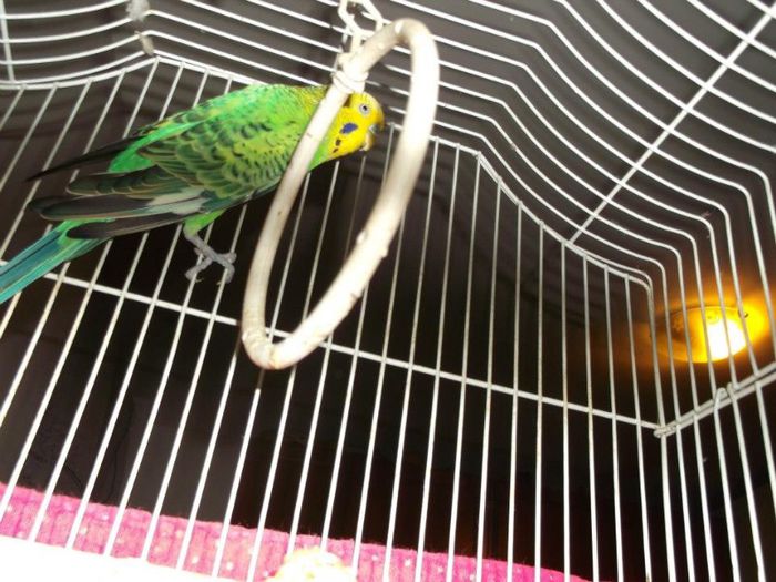 422224_217693621701318_2147228482_n