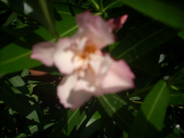DSCN3220[1]