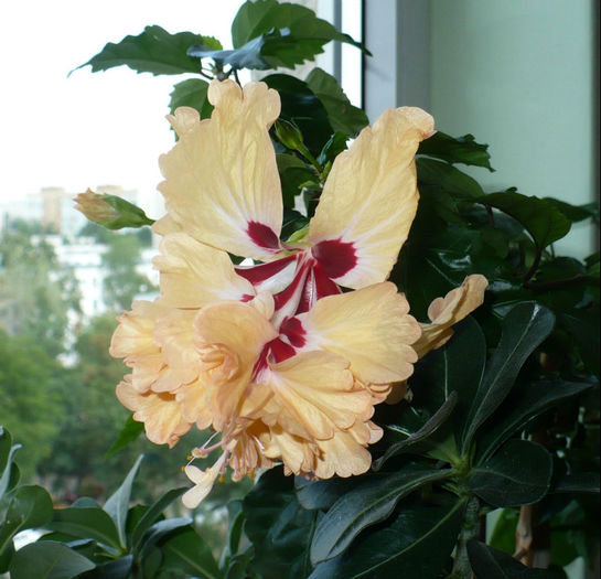 P1460554