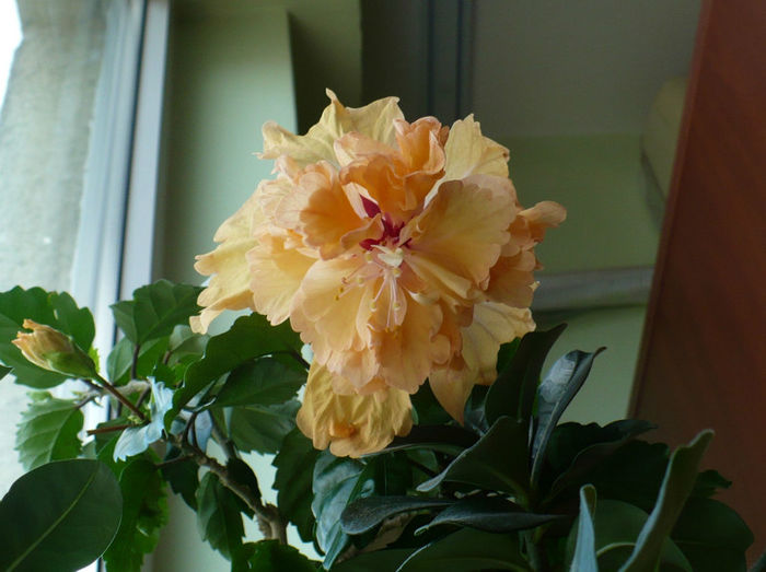 P1460557