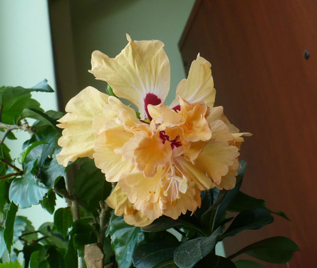 P1460558