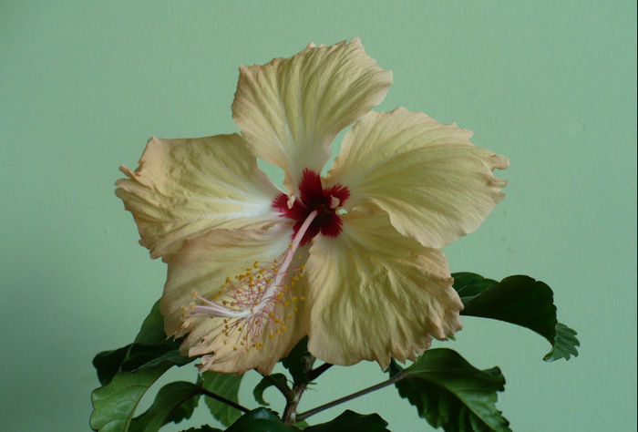 P1460562