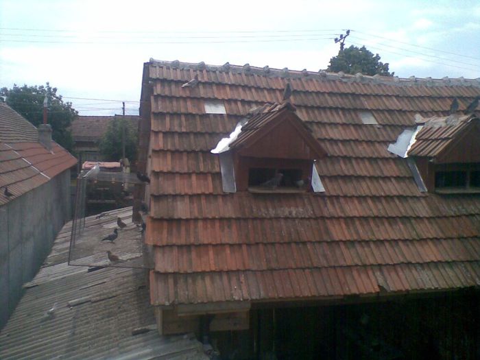 21072013(003) - Voiajori