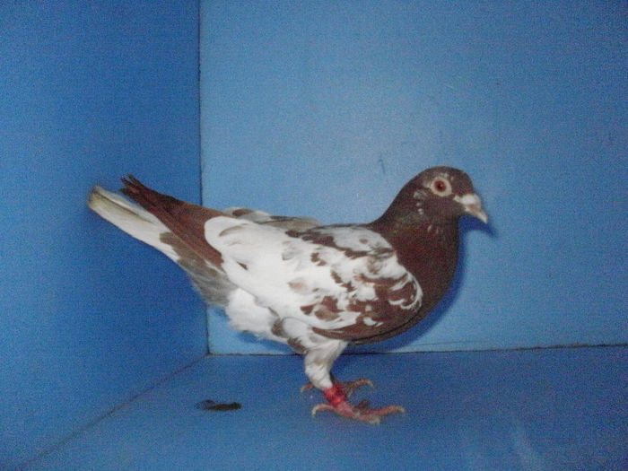 f 2012
