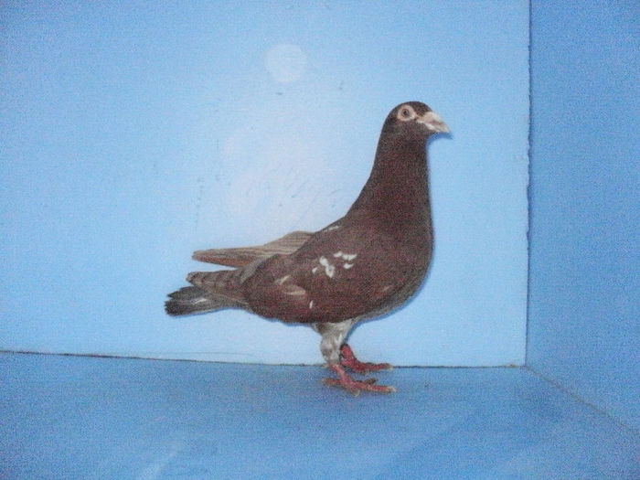 m 2012