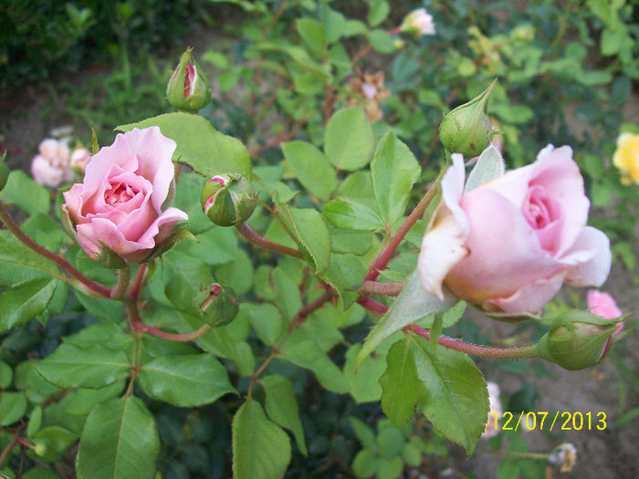 100_2770 - Abraham Darby