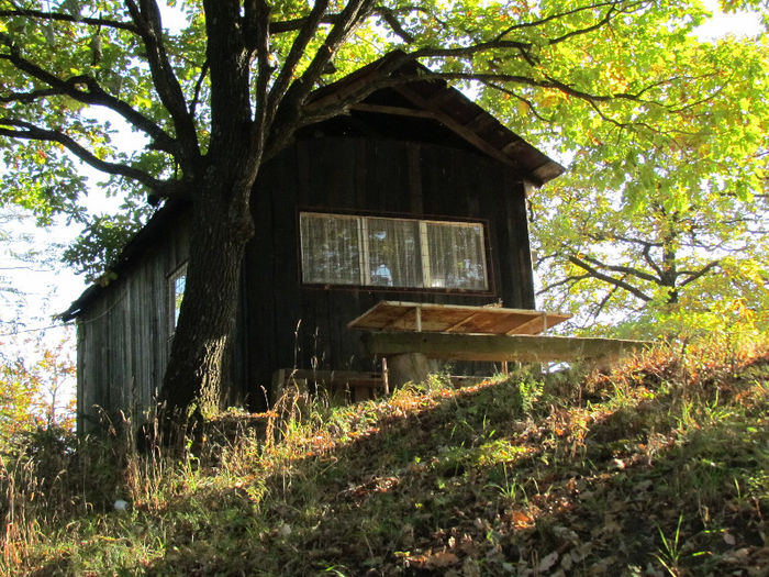 Vechiul adapost . - Cabana noua in mijlocul naturii