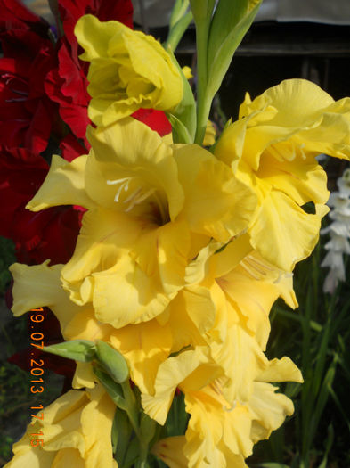 DSCN3825